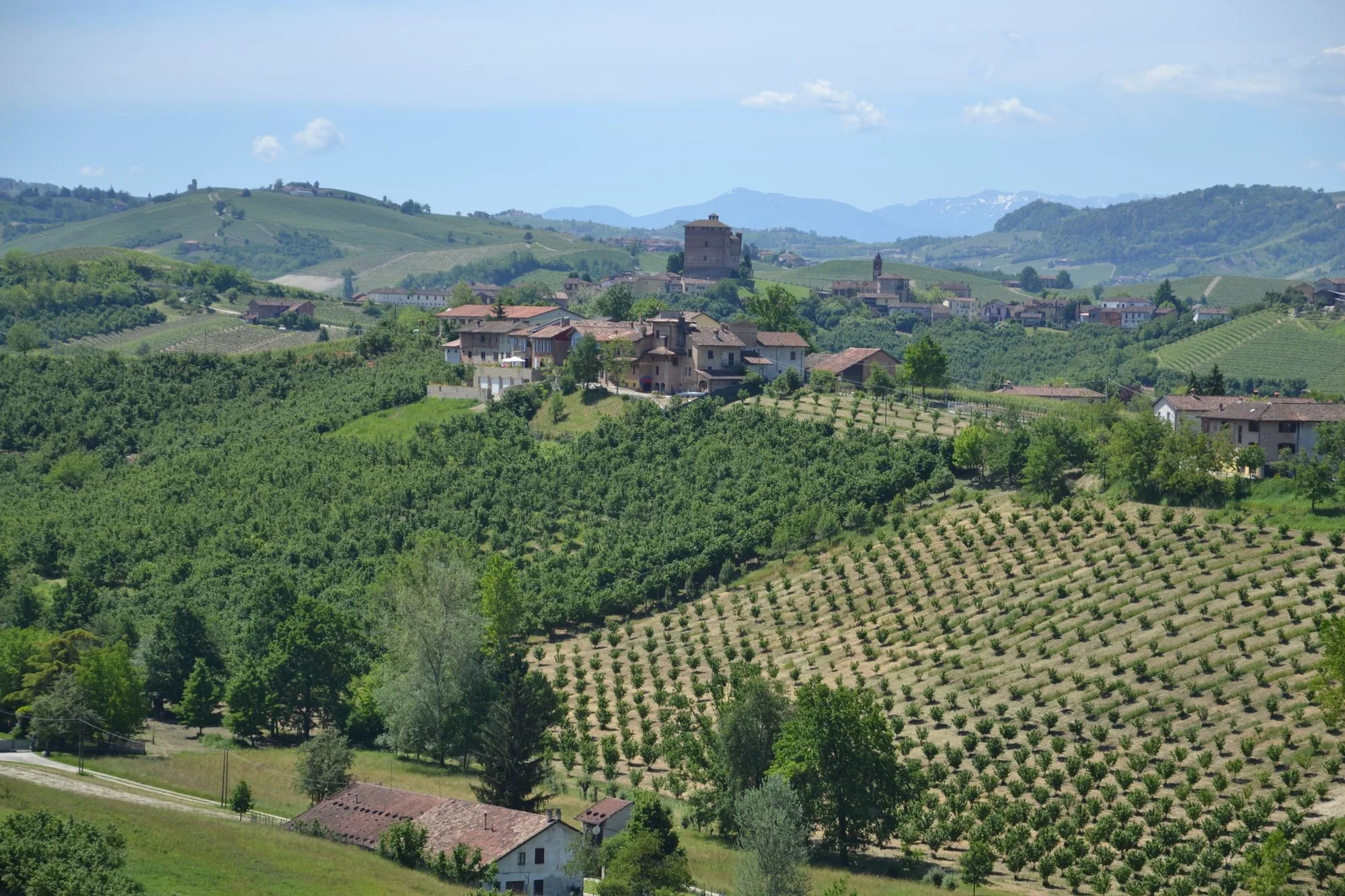 Wijngaarden en dorp bij Belvedere Langhe in Piemonte